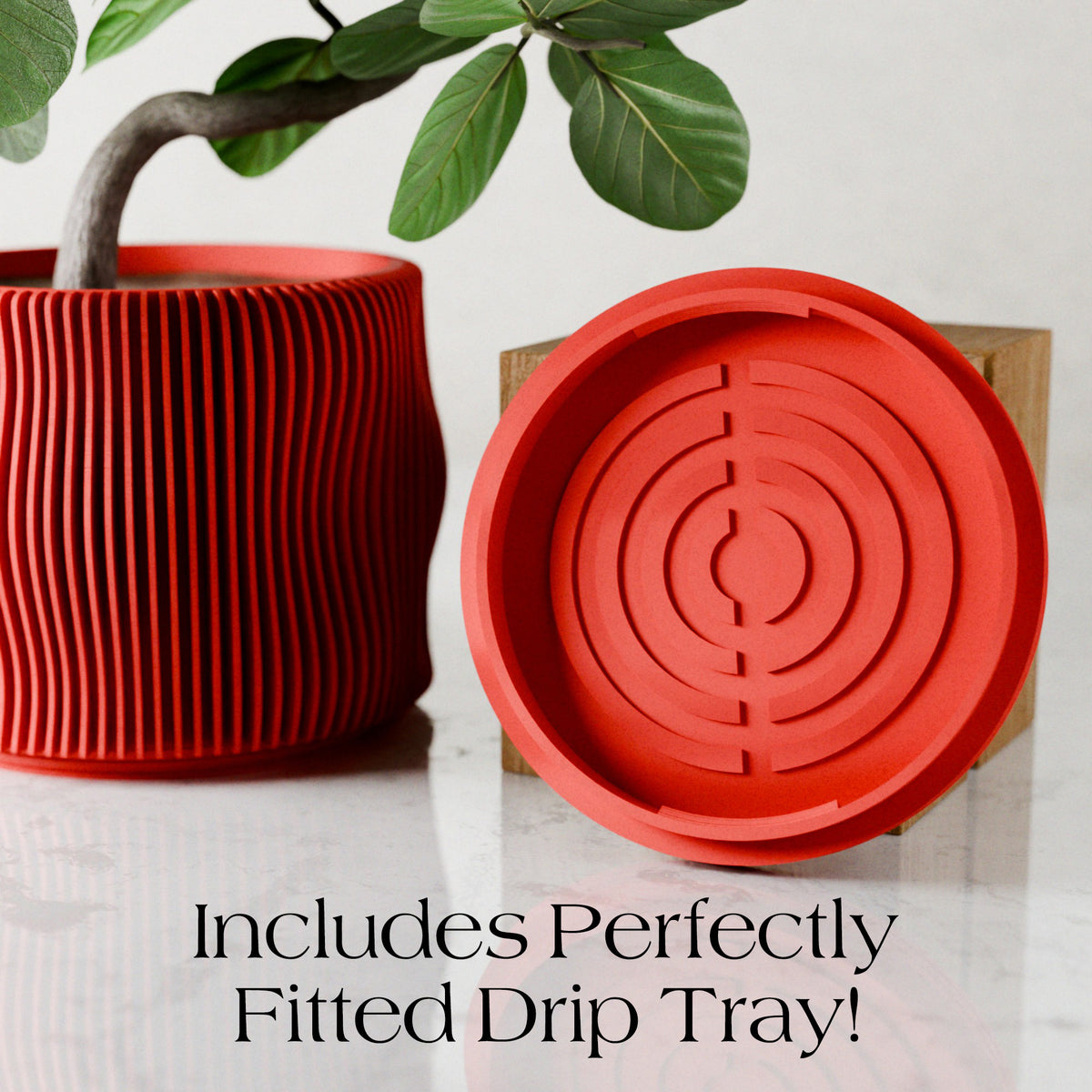 BUBBLY Planter | RED