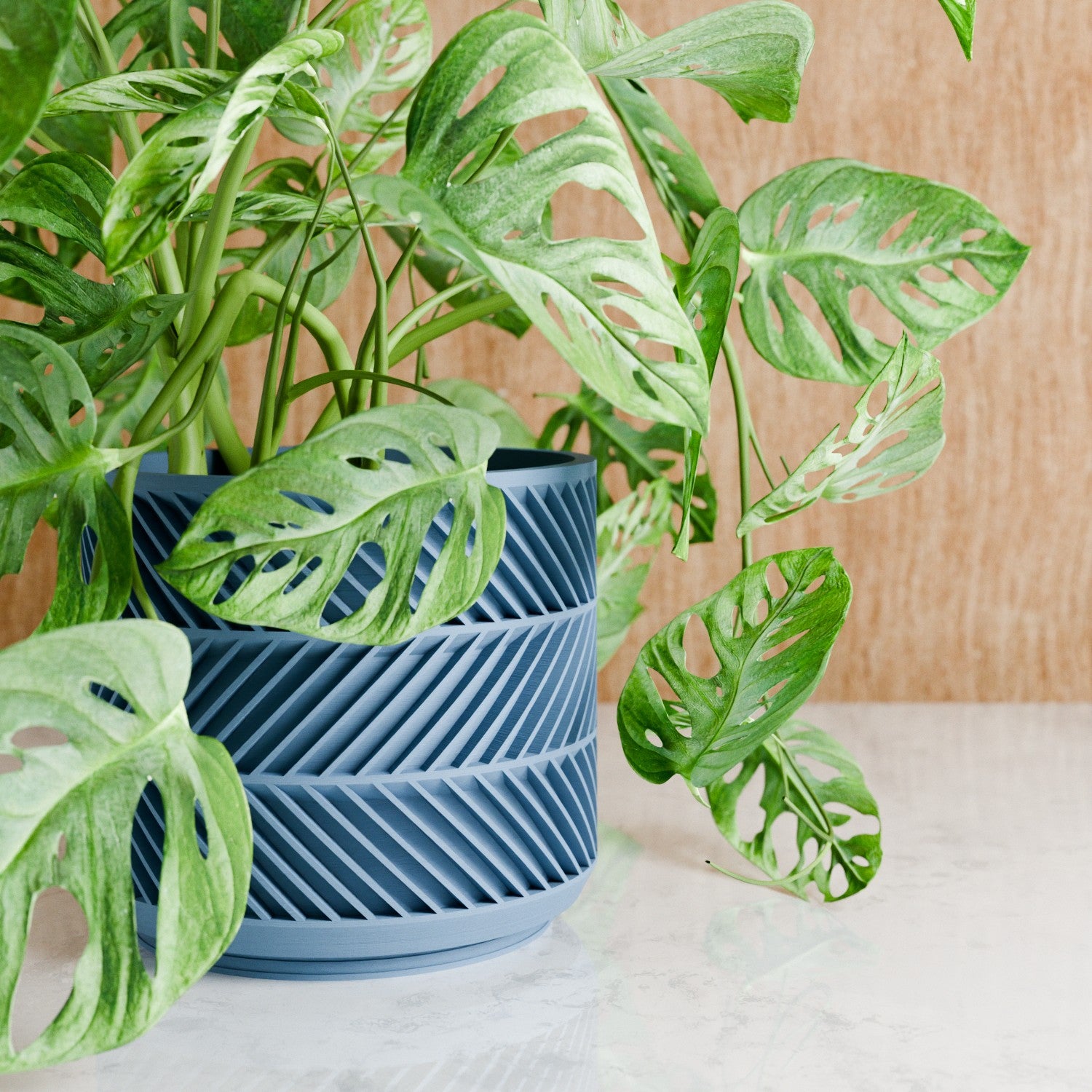 Leaf Planter