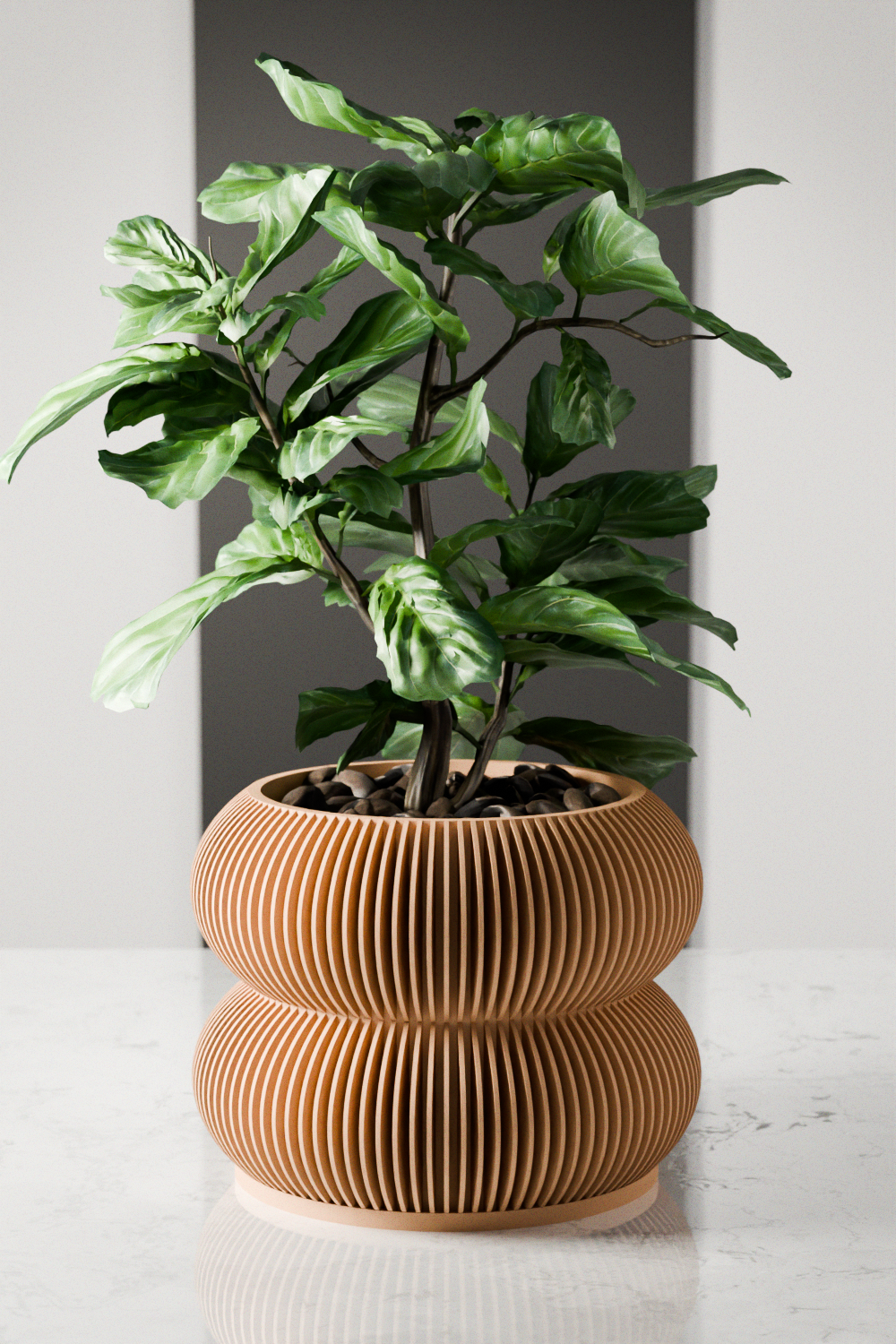 double potting plants Double BUBBLES Planter
