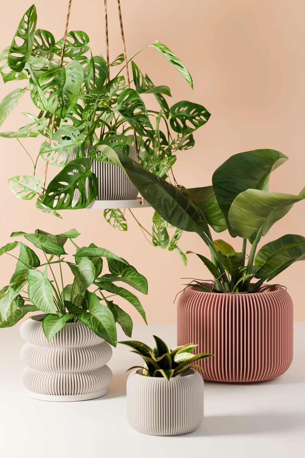 Plants