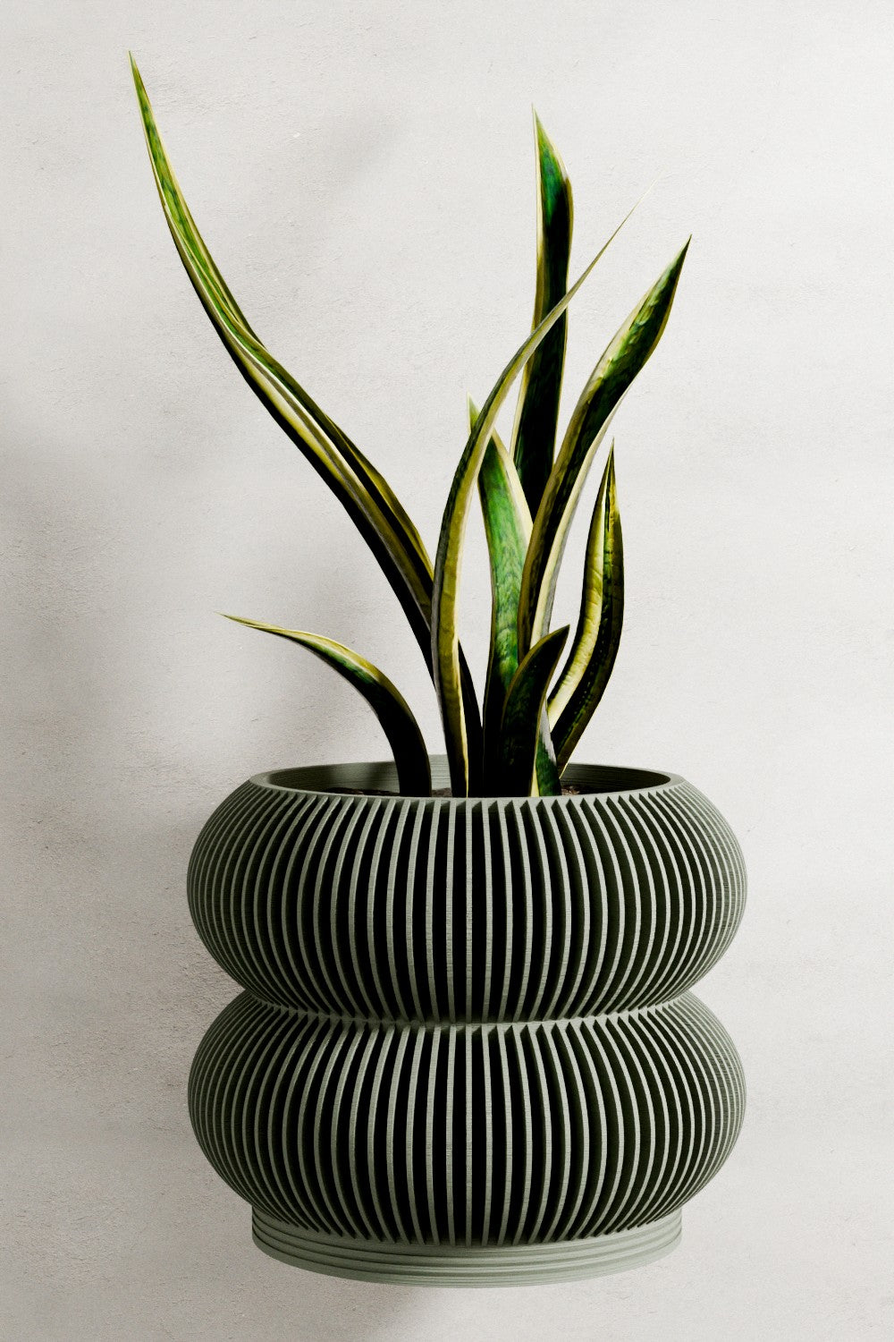 Wall Planter - Double BUBBLES