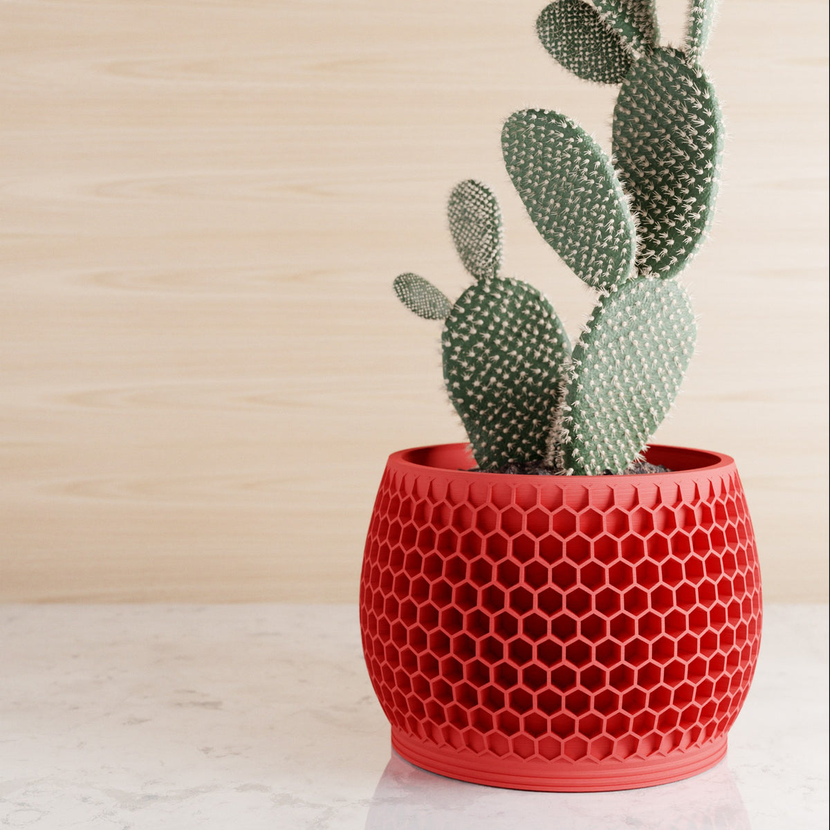 Honeycomb Planter | RED