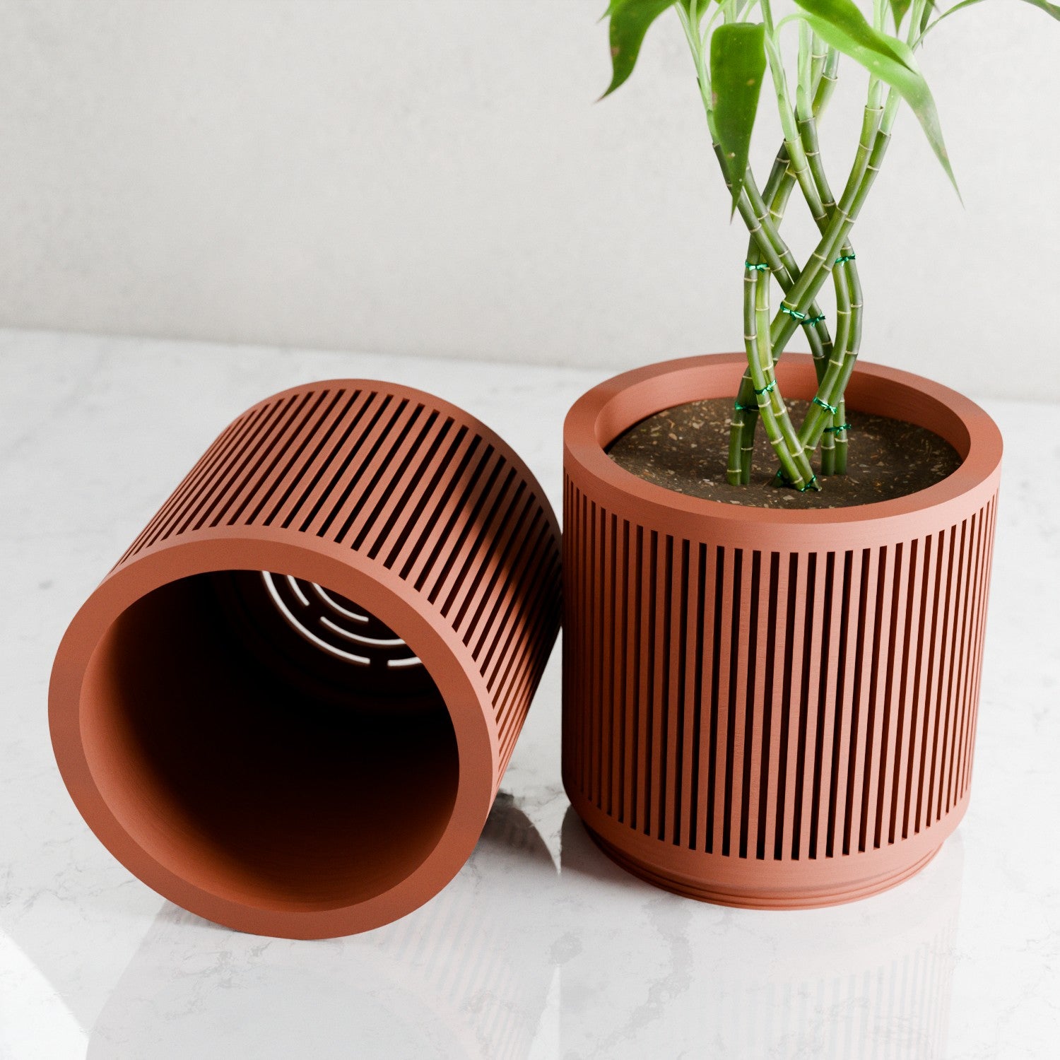 Terracotta Kanso fluted planters styled with lucky bamboo
