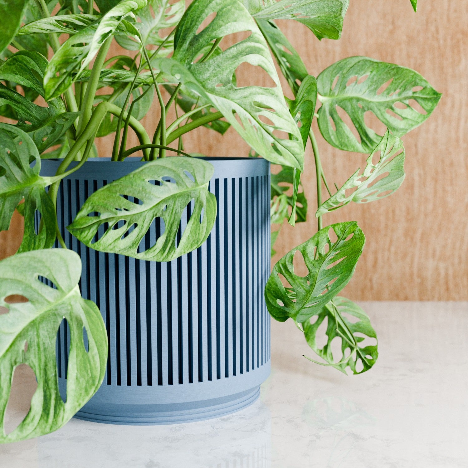 Muted blue Kanso planter holding a monstera adansonii plant