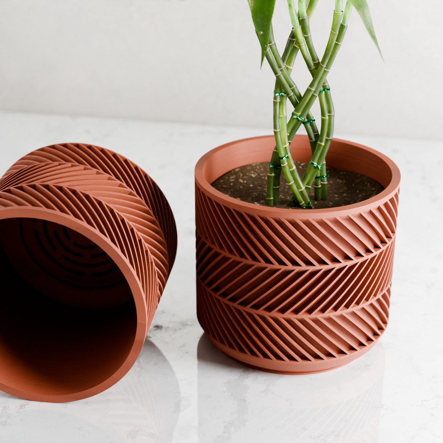 Leaf Planter