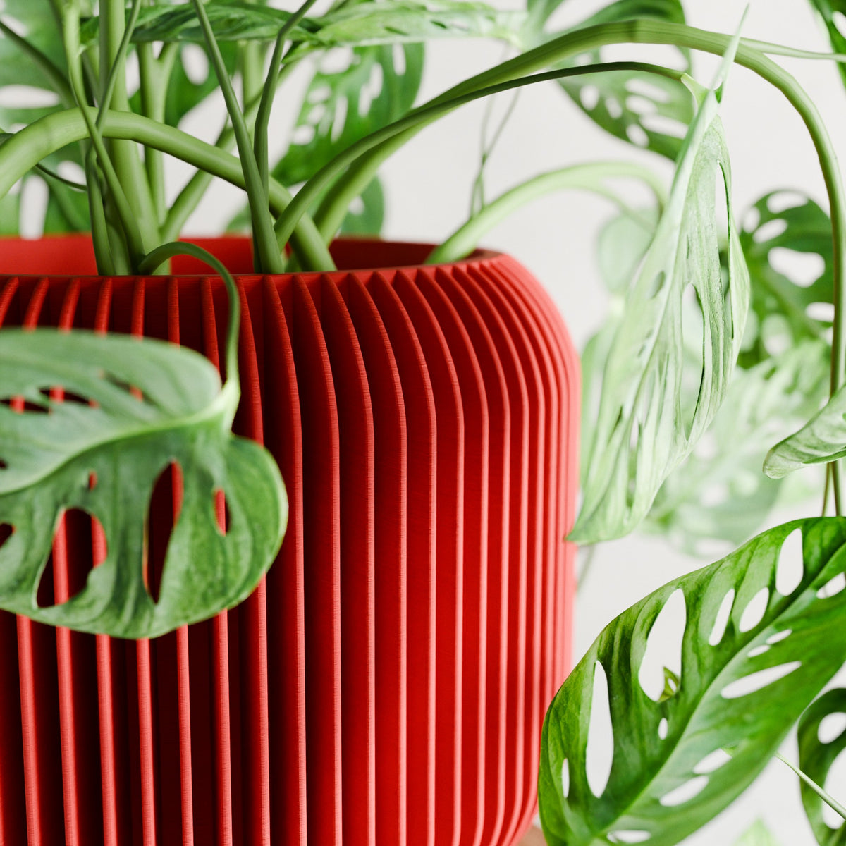 Orbis Planter | RED