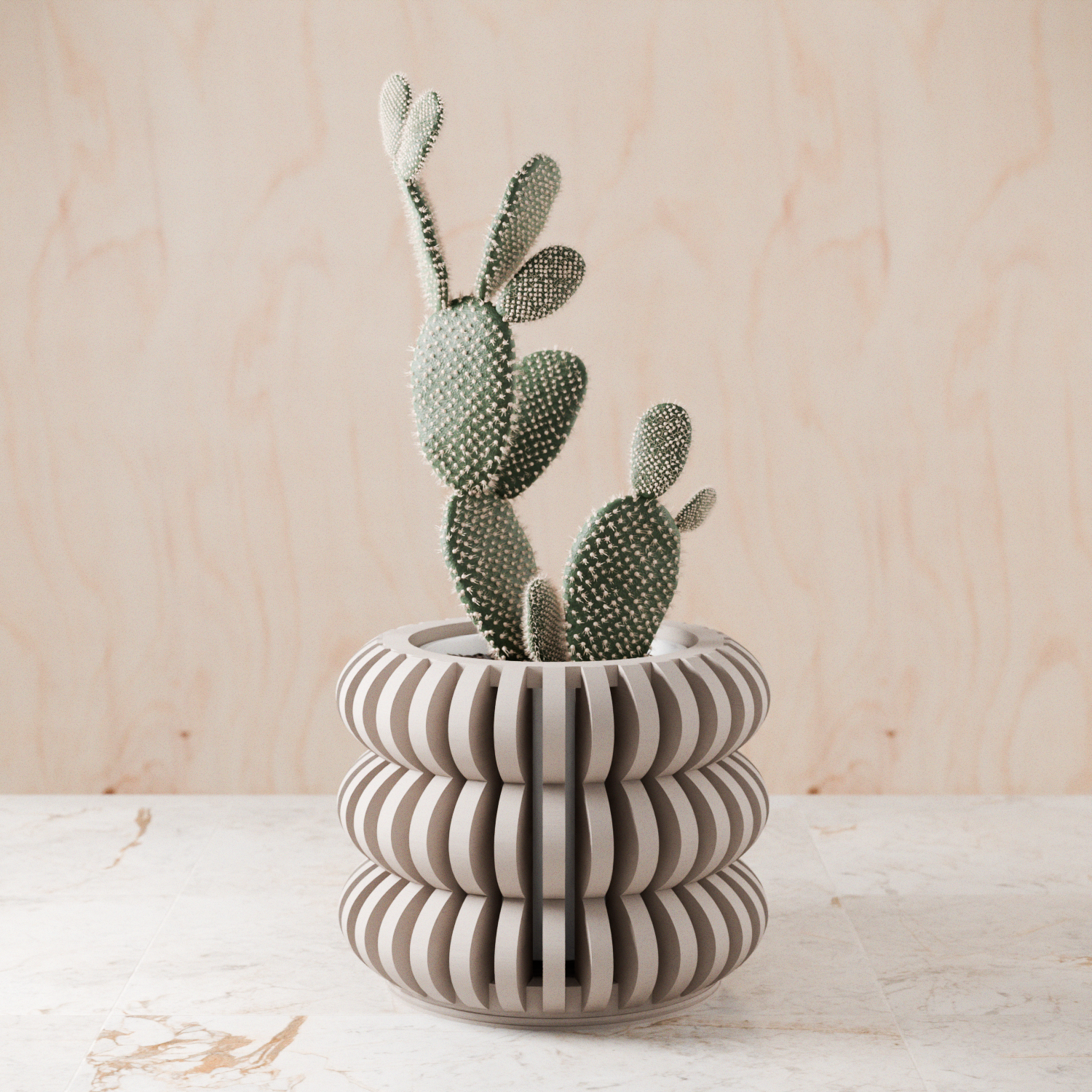 Cactus in a decorative pot on a wooden surface with a light wood background