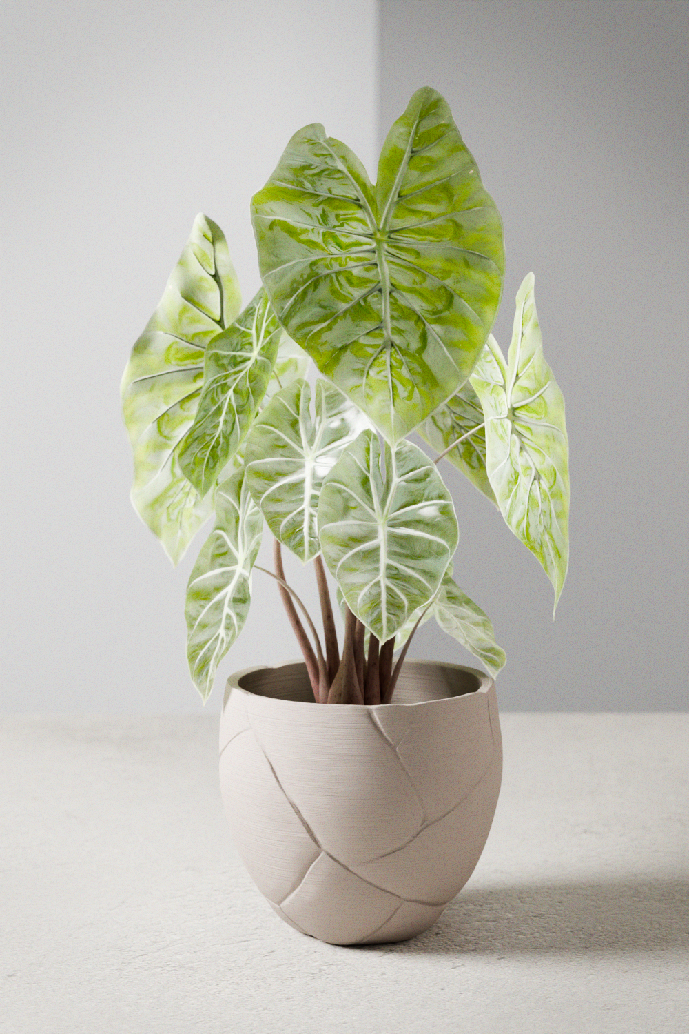 Modernized Pottery mystery planter subscription