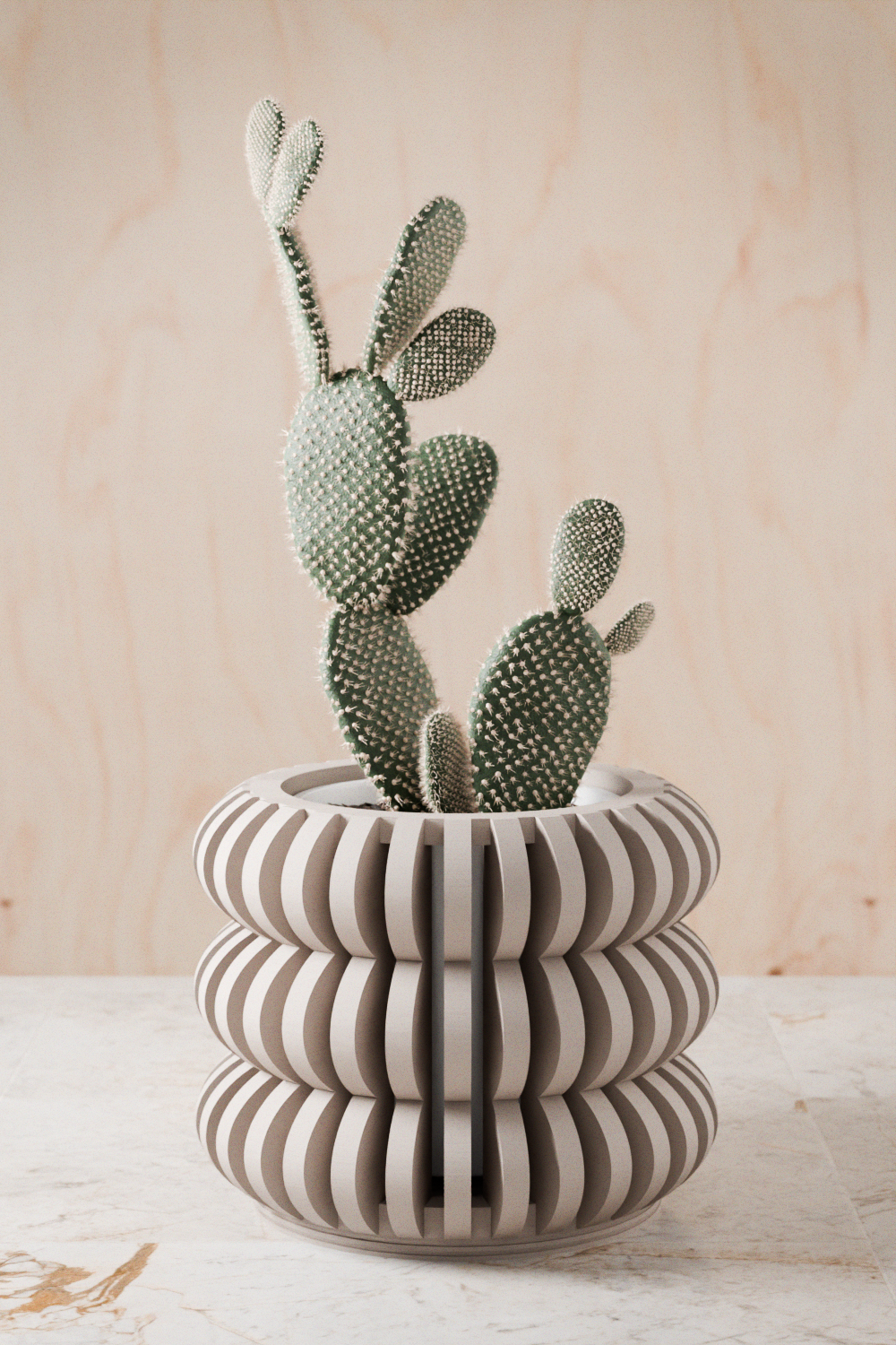 Cactus in a striped pot on a wooden surface with a light wood background