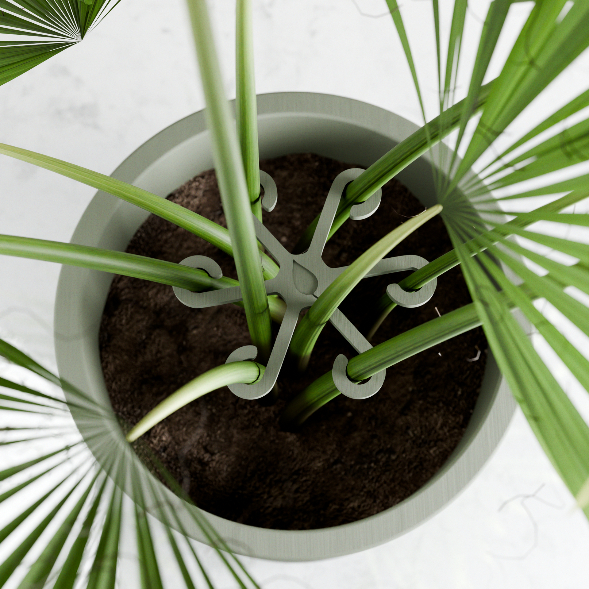 support for potted plants Climbing Plant Stem Support Stakes