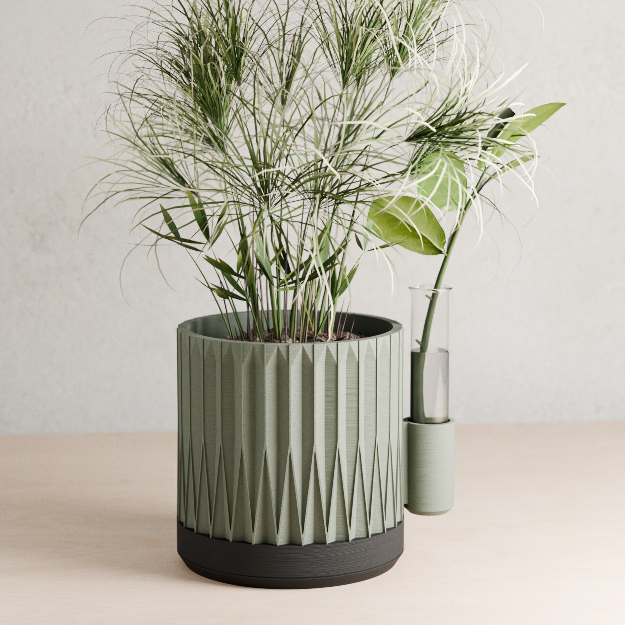 Rooted Propagation Planter