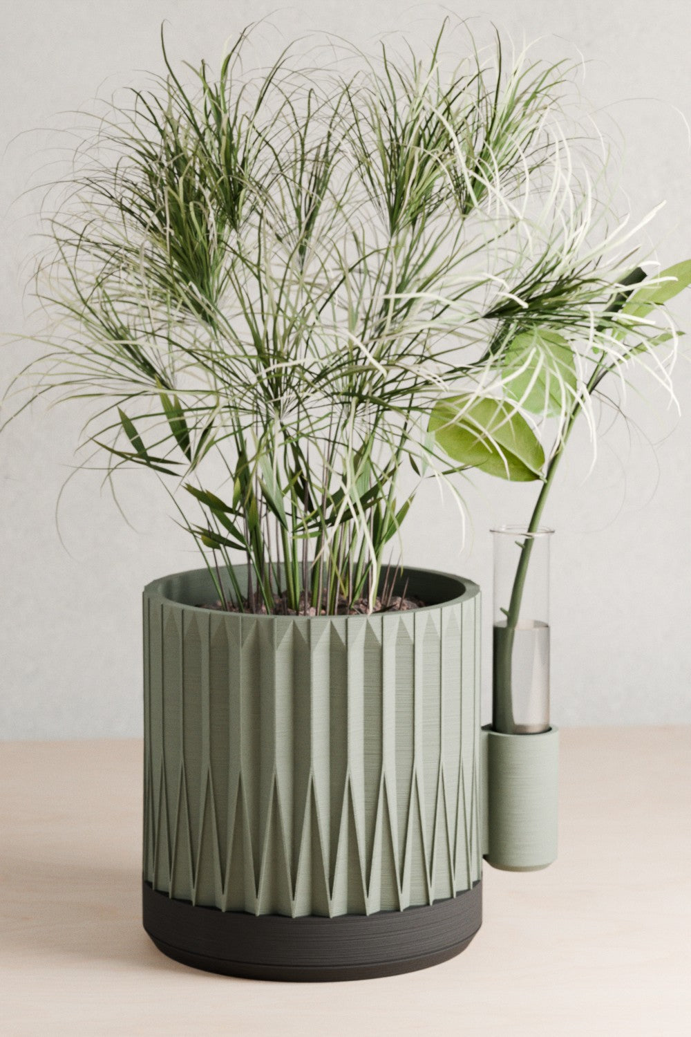 Rooted Propagation Planter