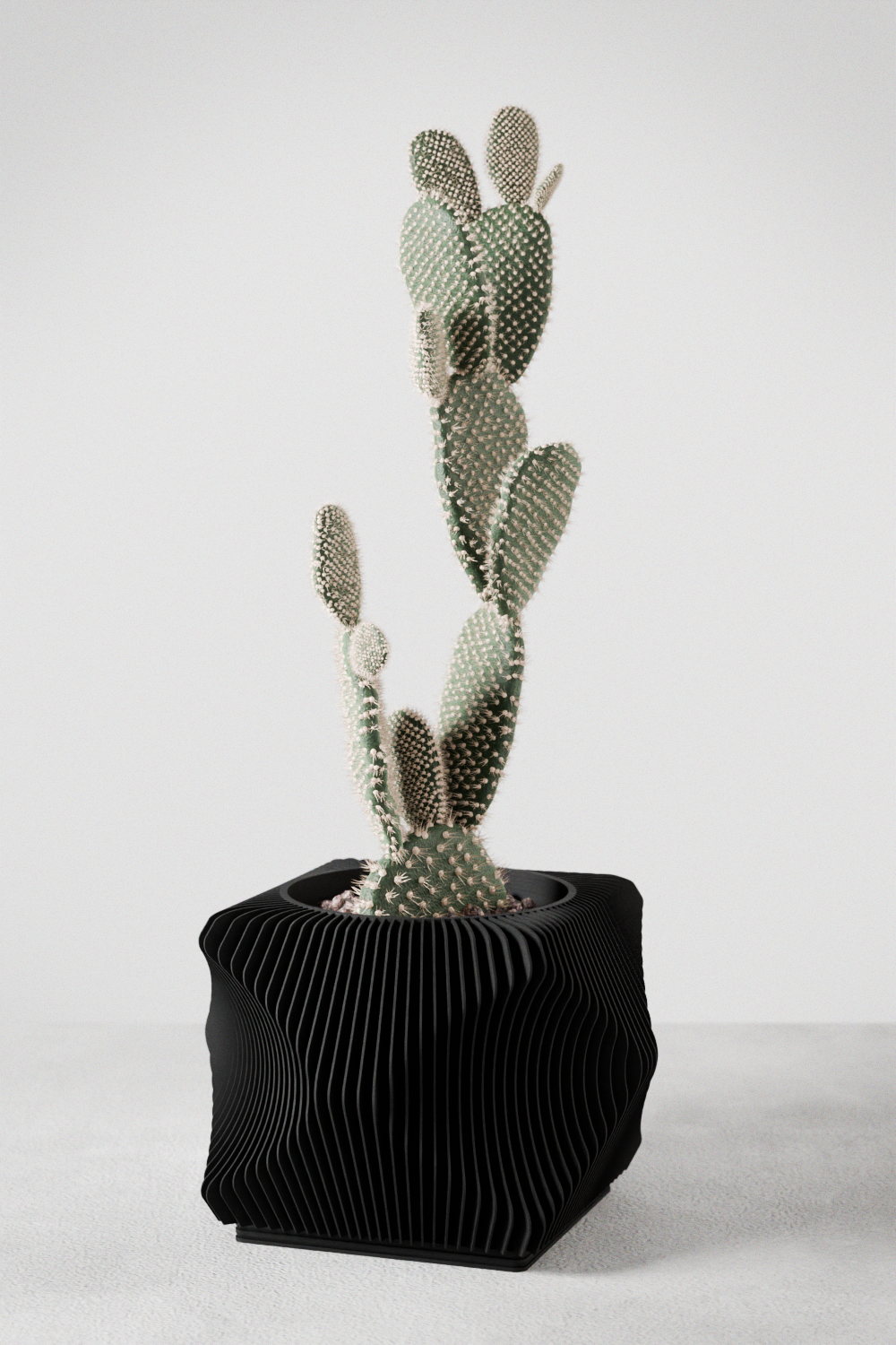 Xenova Planter - Image 6