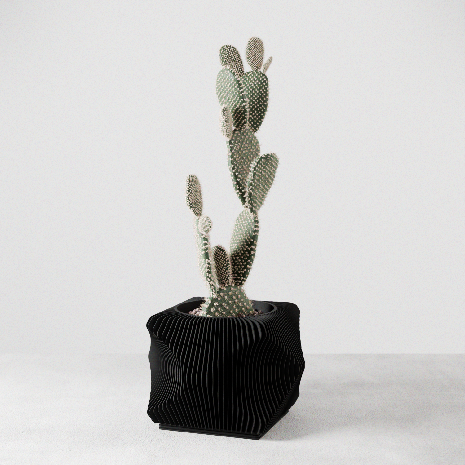 Xenova Planter - Image 7