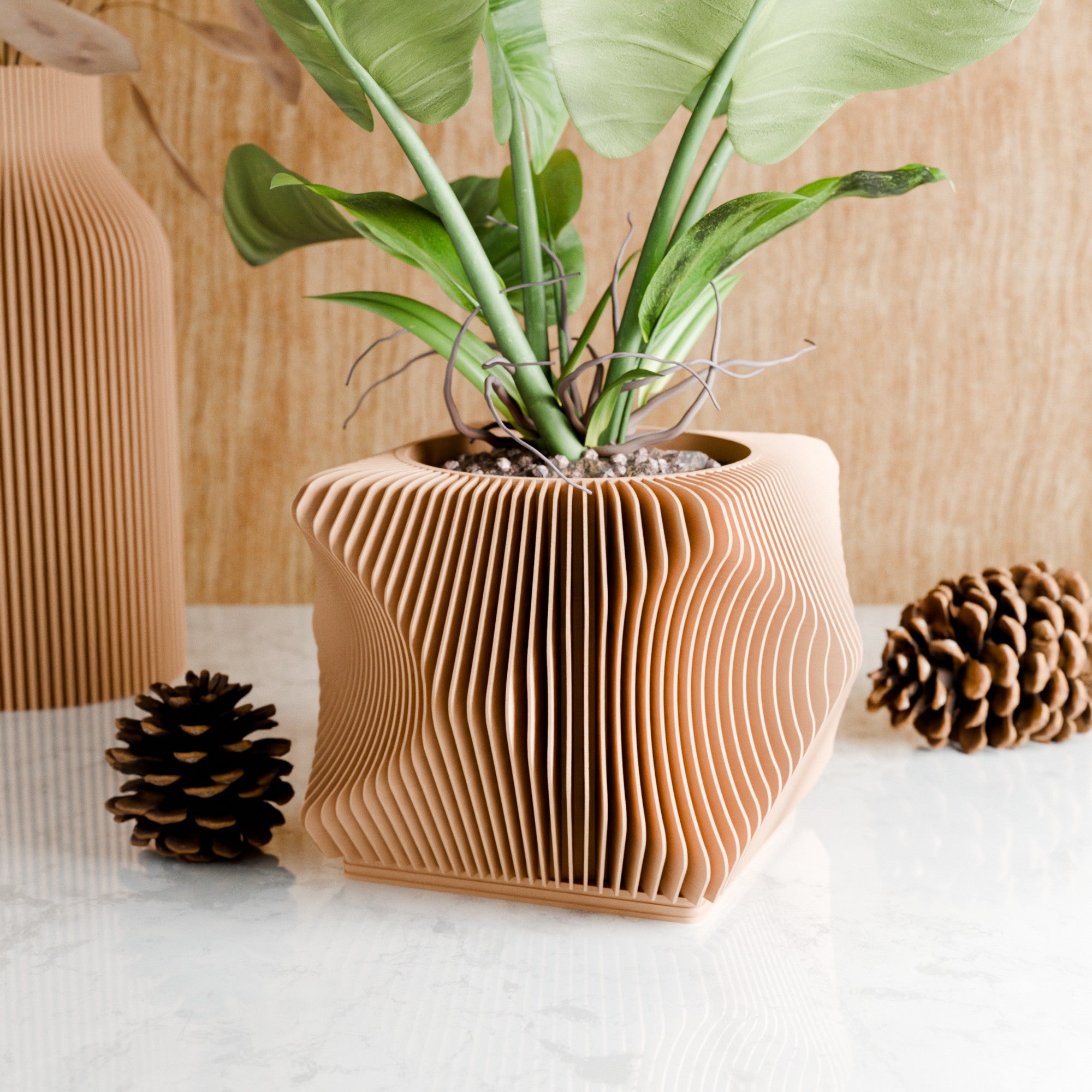 Xenova Planter - Image 9