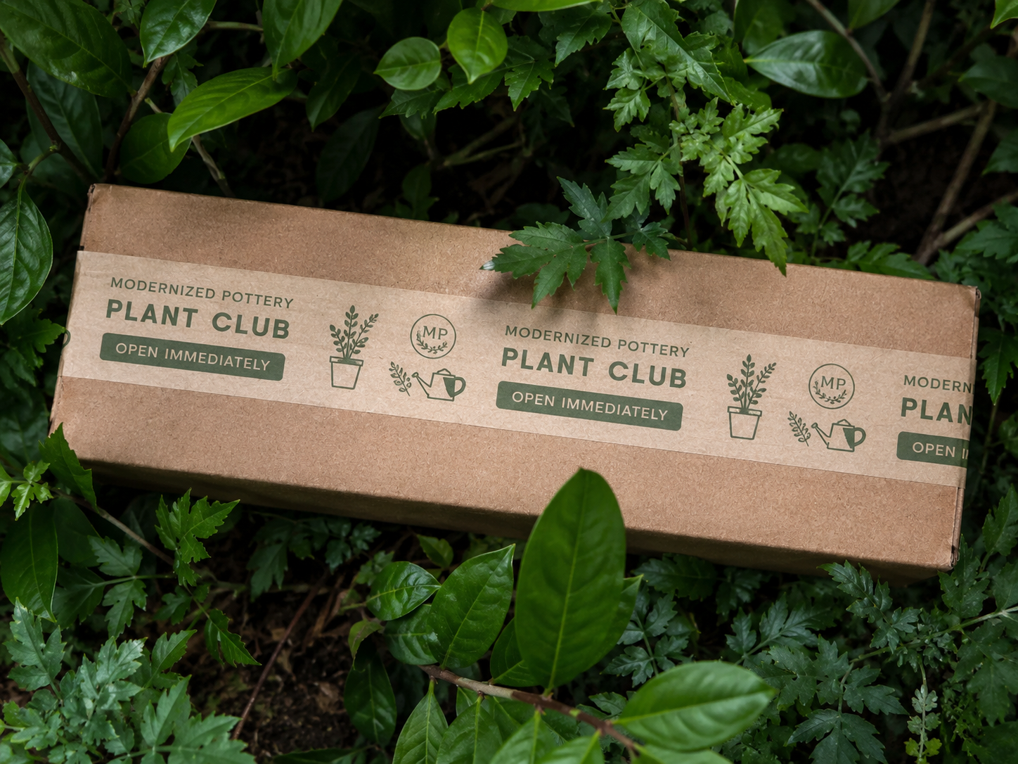 Modernized Pottery Plant Club shipping box surrounded by greenery