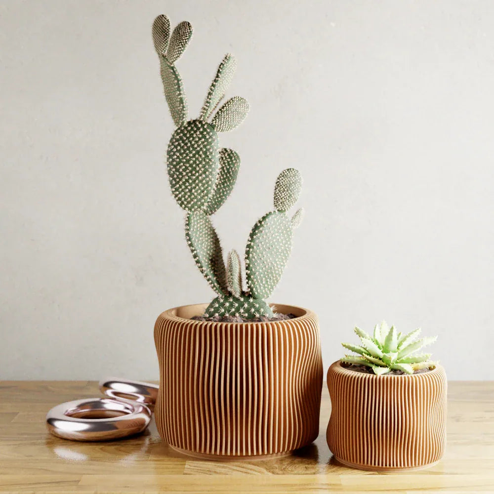 Cactus and succulent in ribbed terracotta planters